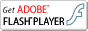 Download the latest Adobe Flash Player